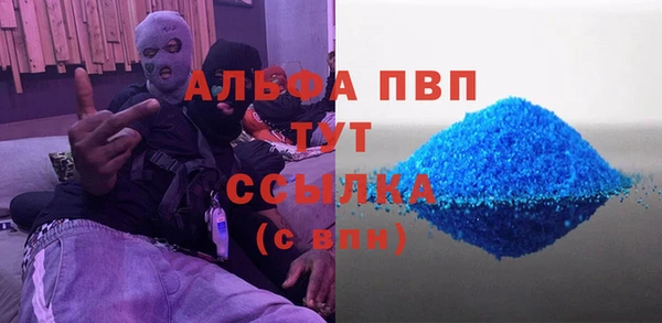 Альфа ПВП Верея